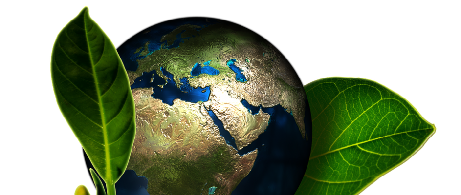A New Green Project