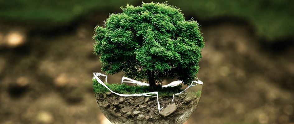 Megadyne continúa su compromiso de proteger el medio ambiente