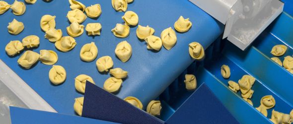 A new brand of Food Conveyor Belts