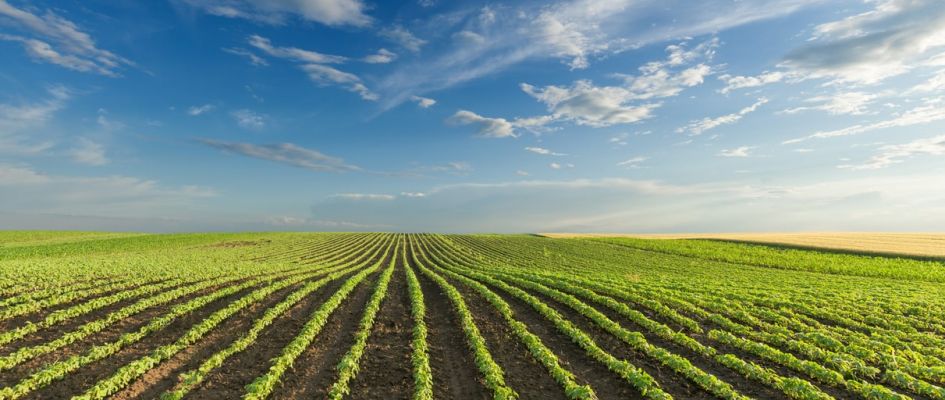 Visit Megadyne at the NAMPO Harvest Day