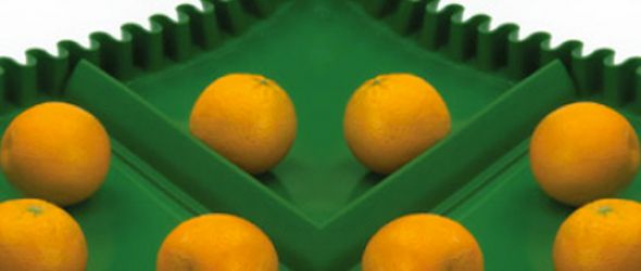 A new belt for the food sector