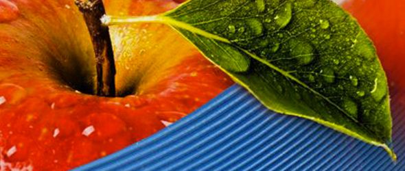 New Conveyor Belt with ribbed material FDA-approved