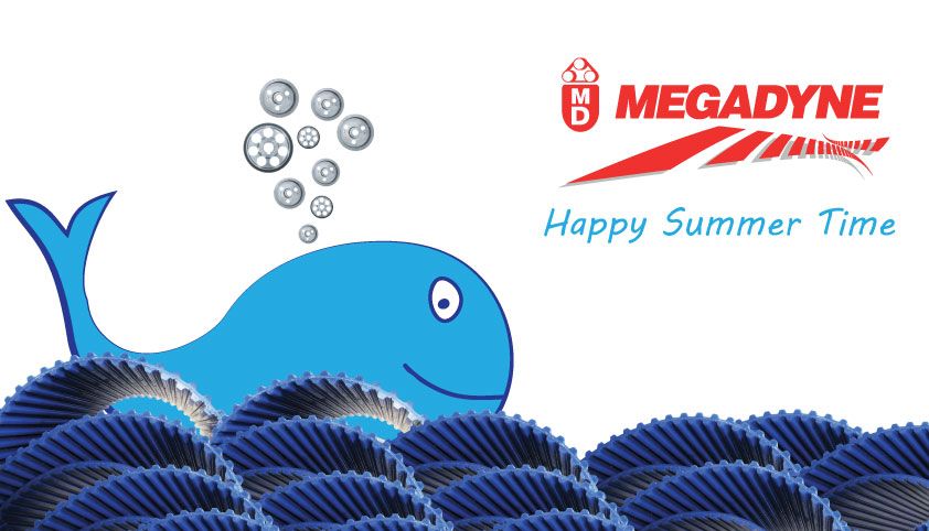 Summer Holidays